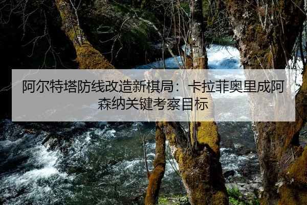 a-er-te-ta-fang-xian-gai-zao-xin-qi-ju-ka-la-fei-ao-li-cheng-a-sen-na-guan-jian-kao-cha-mu-biao-3-958.jpg