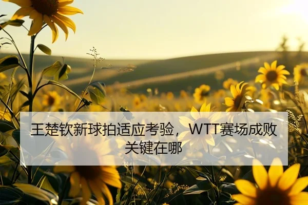 王楚钦新球拍适应考验，WTT赛场成败关键在哪